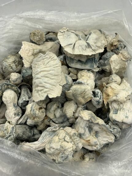 Psilocybin mushrooms UK product – dried Amazonian variety in eco packaging