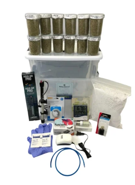Buy Ultimate Mushroom Growing Kit Online in the UK