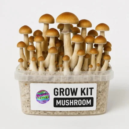 Buy Grow Kit Colombian Online in the UK