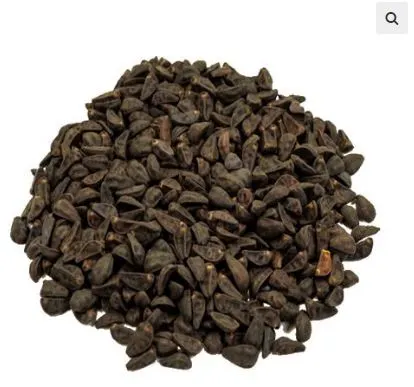 Buy Morning Glory Seeds Online UK-Organic Morning Glory Seeds UK – Ipomoea Tricolor with LSA – Buy Online at HippyTransLab.eu
